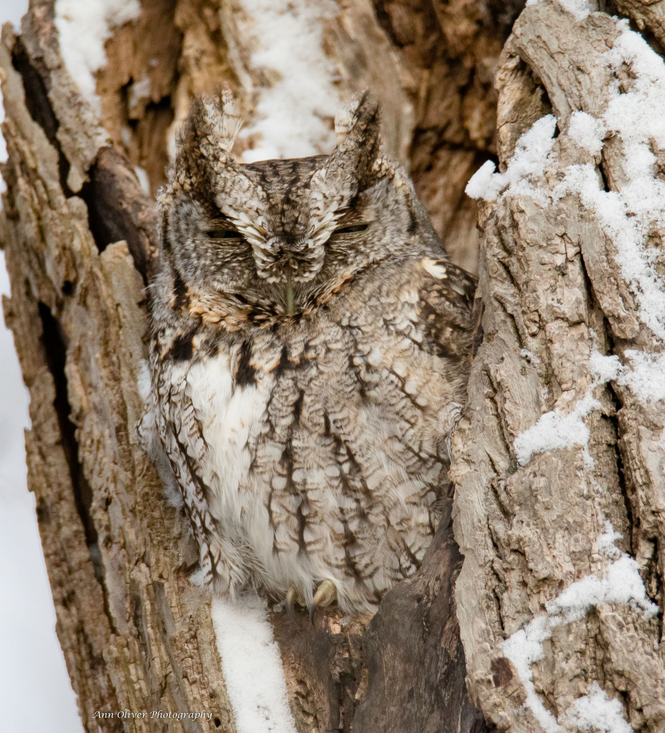 Cam-owl-flage